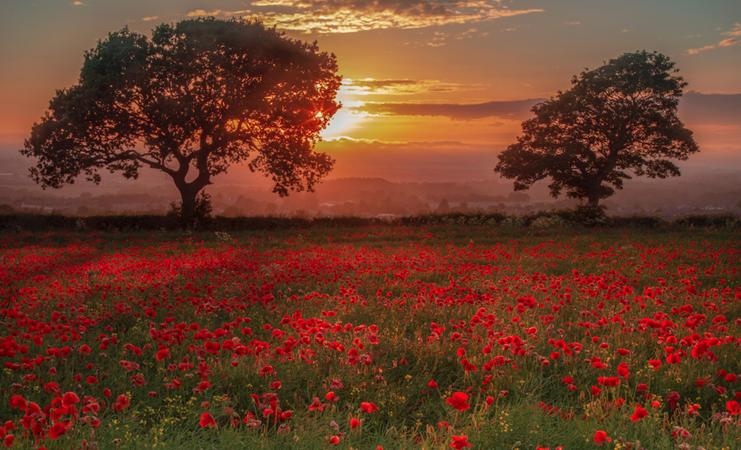 Remembrance Sunday 2024